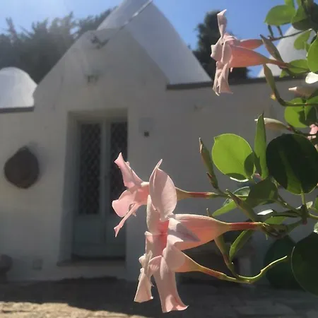 Holiday home Trullo Meringa